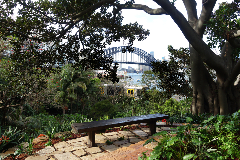Wendy's secret garden- Harbour Bridge Sydney